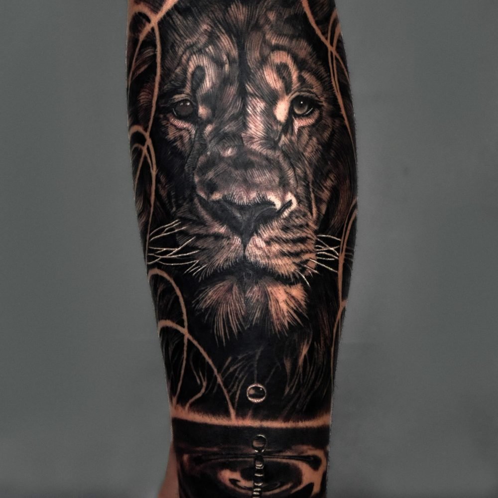 animal portrait1