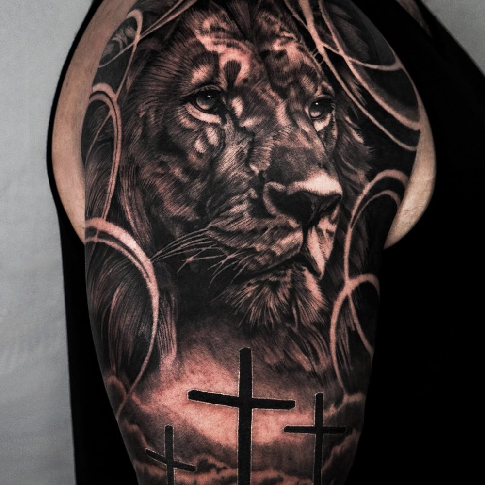 animal portrait3